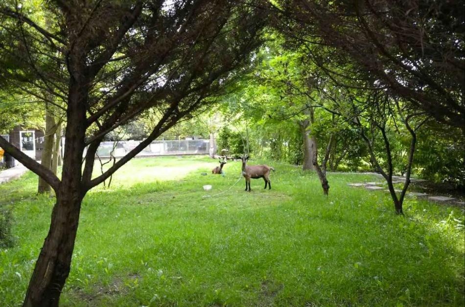 Leleka Hostel Esbly Kültér fotó
